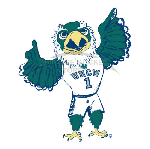 Personal NC Wilmington Seahawks Iron-on Transfers (Wall Stickers)NO.5367
